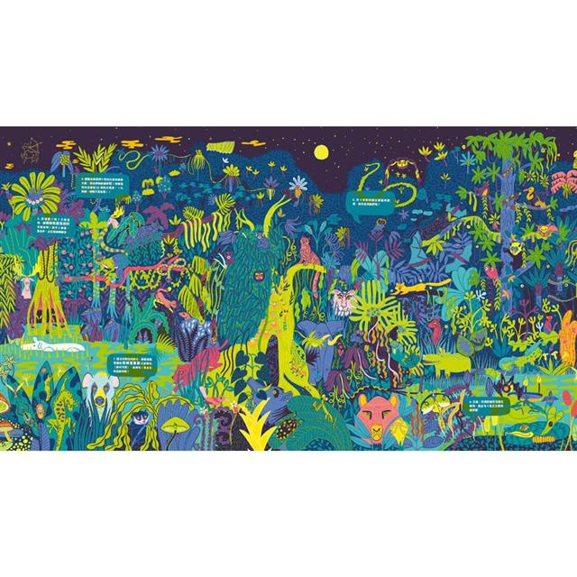 夜光找一找：不可思議的雨林大探索